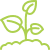 Evita aborto floral e queda de frutos